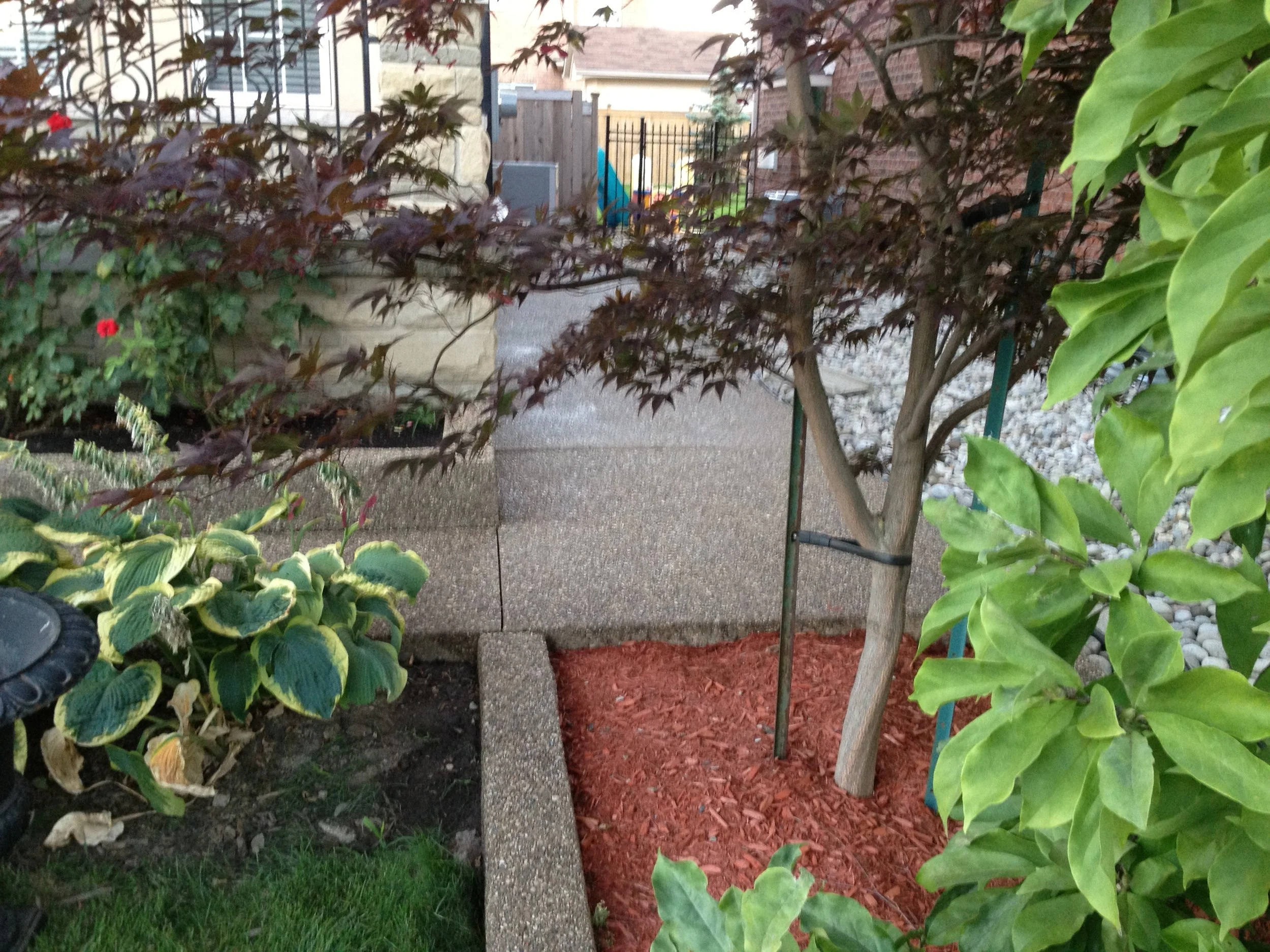 Concrete sidewalk edge after concrete sealing, Cambridge