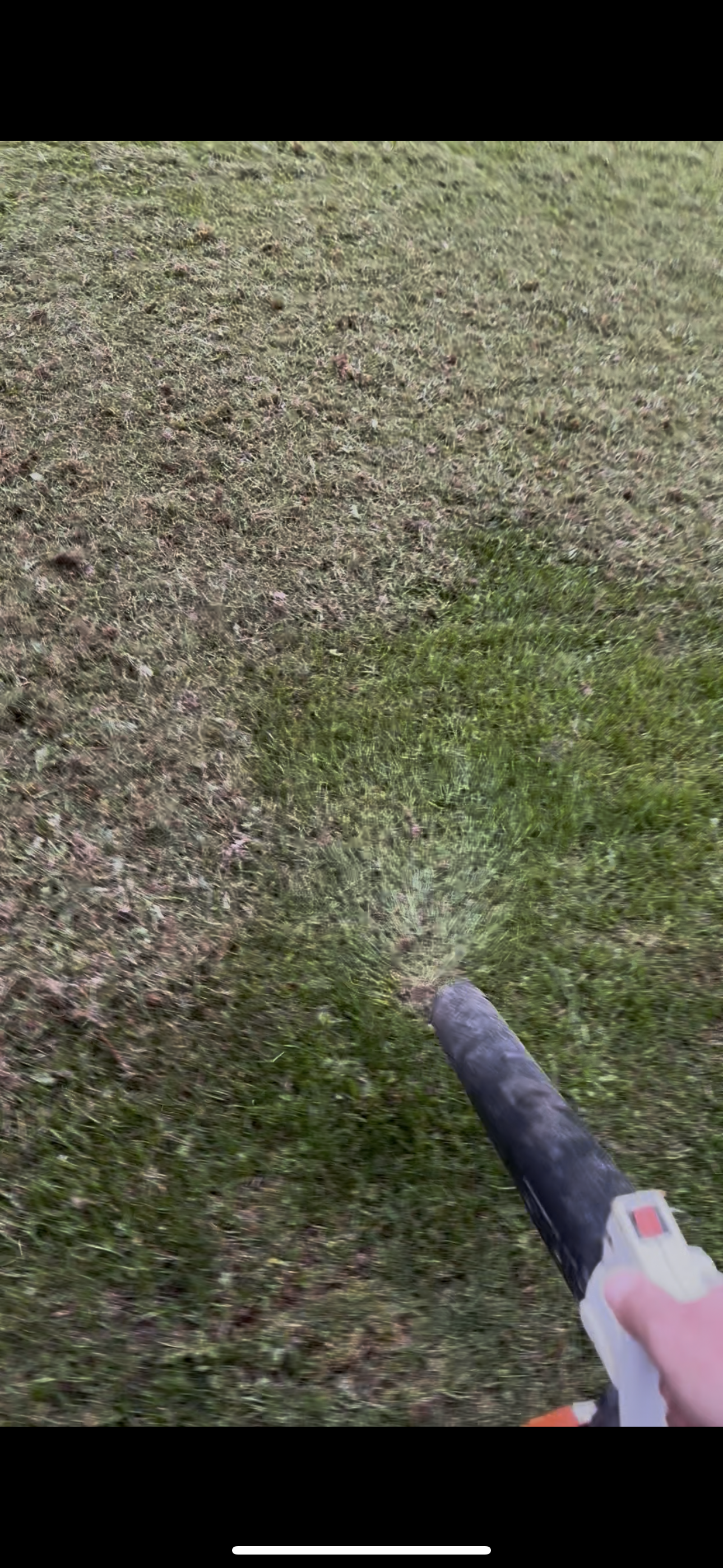 Person using a weed trimmer to cut grass and weeds in a yard.