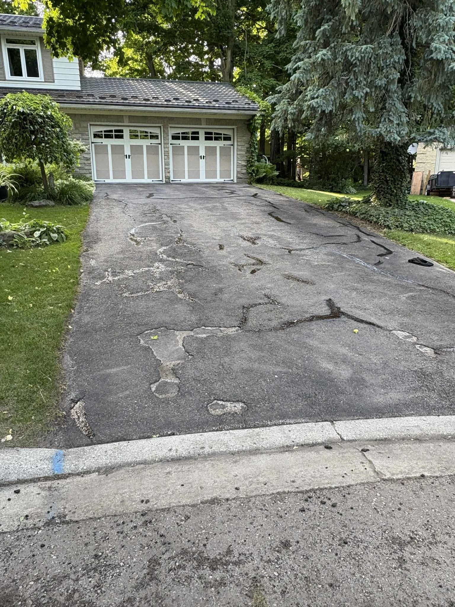 A cracked and worn asphalt driveway leading to a garage with white doors, surrounded by green grass, trees, and garden plants.