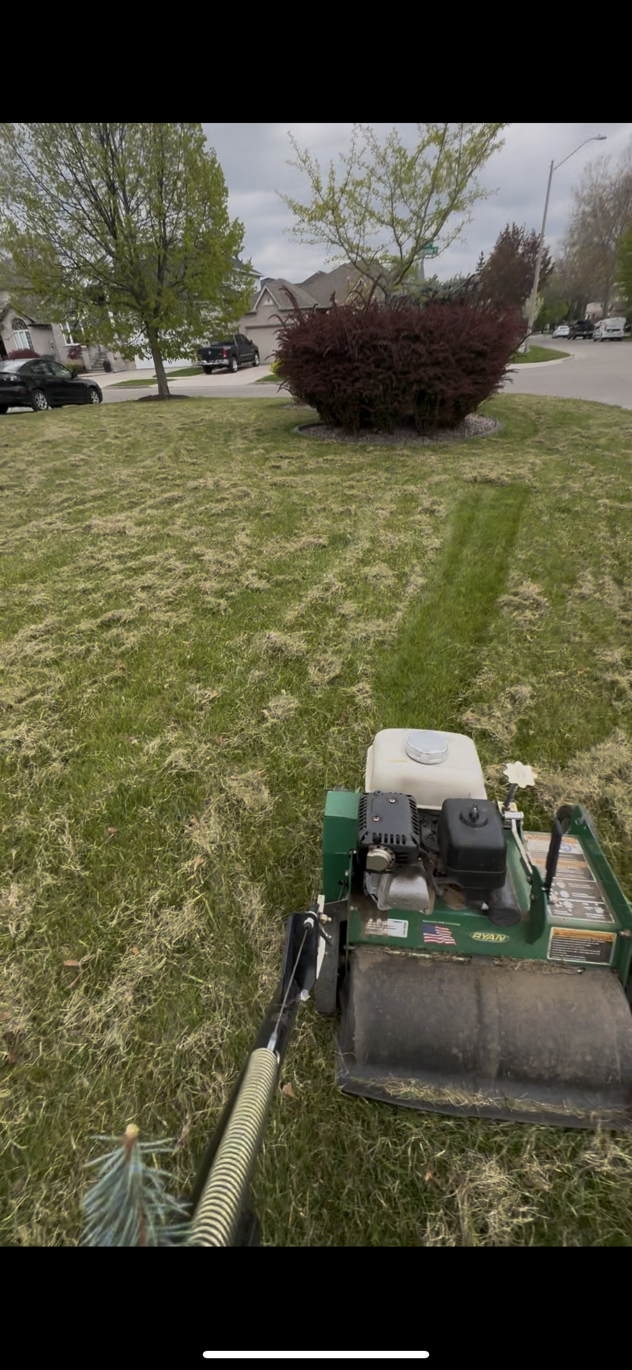 Lawn dethatching and power raking service