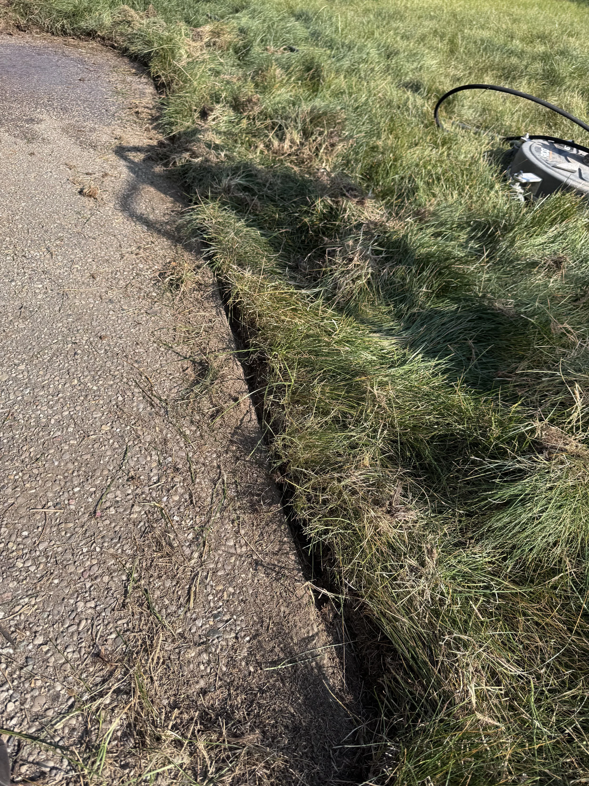 Cutting back grass that is growing over an aggregate concrete walkway.