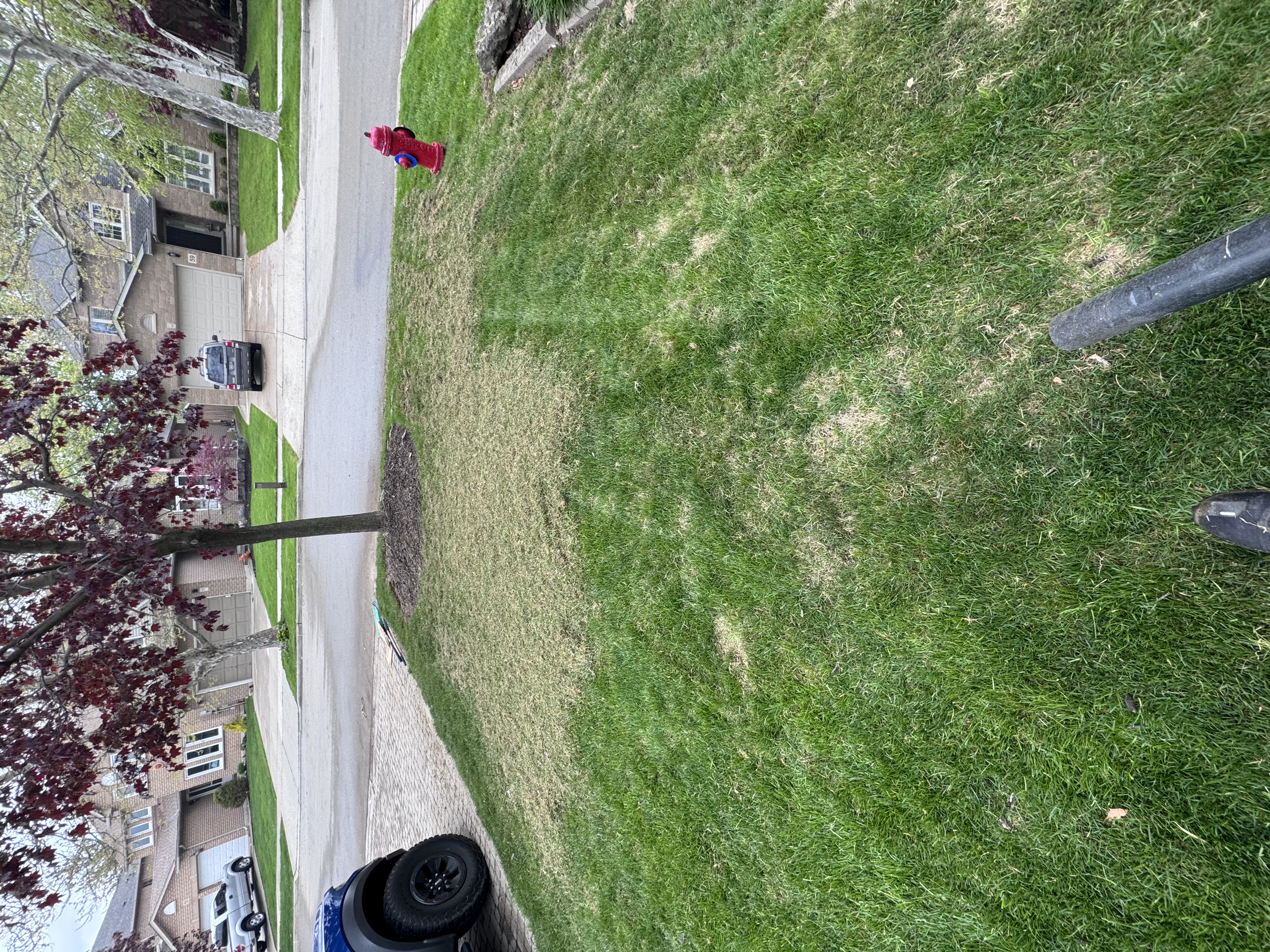 Professional lawn dethatching service in Waterloo Region Ontario